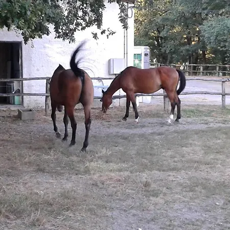 Ferme Equestre Des Abrons Feriehus