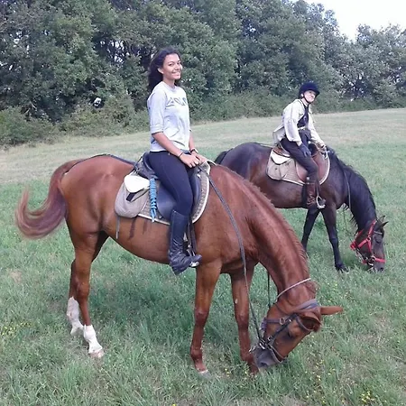 펜션 Ferme Equestre Des Abrons