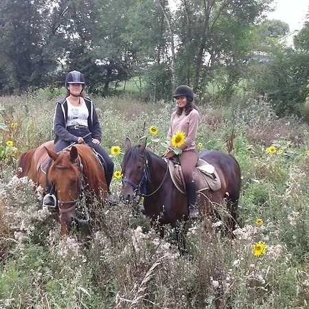 Ferme Equestre Des Abrons * Pailloles